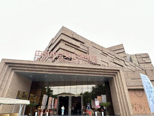 茯茶鎮(zhèn) 以茶為媒，帶活百億產(chǎn)業(yè)，鑄就中國茯茶之都