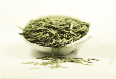 四川宜賓高縣 立足生態(tài)優(yōu)勢，做強(qiáng)茶產(chǎn)業(yè)，譜寫鄉(xiāng)村振興新篇章